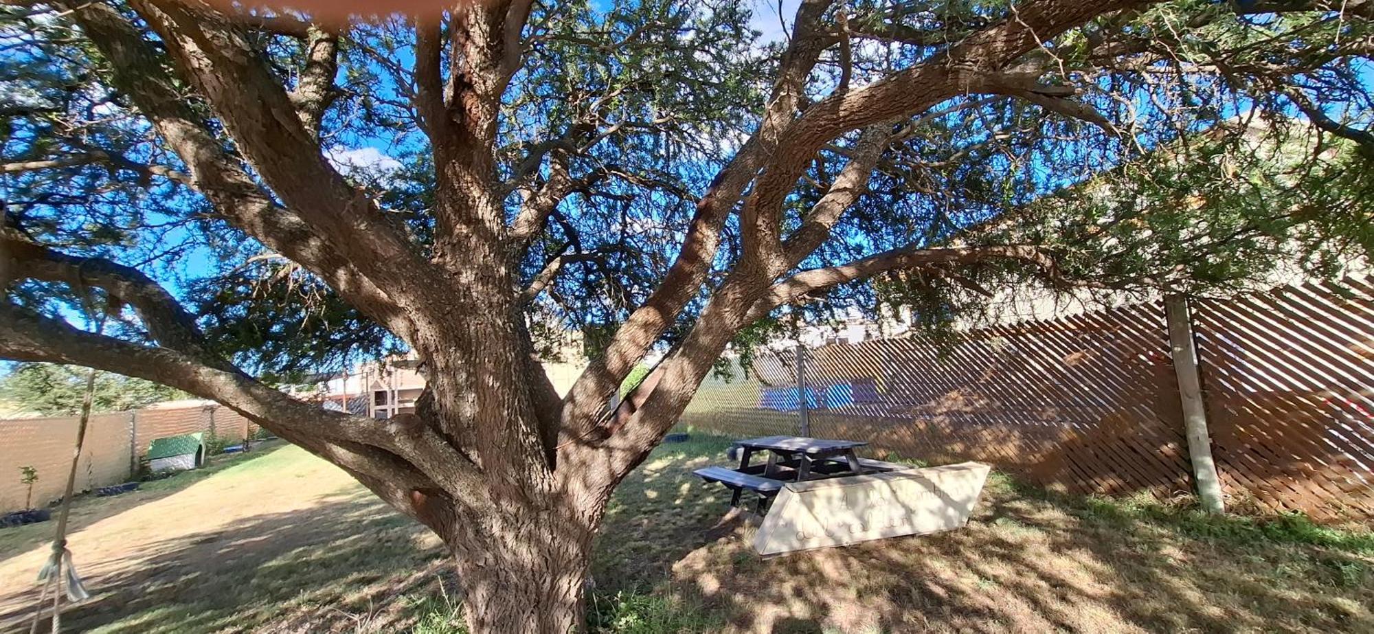 A La Sombra Del Calden Apartment Santa Rosa  Luaran gambar